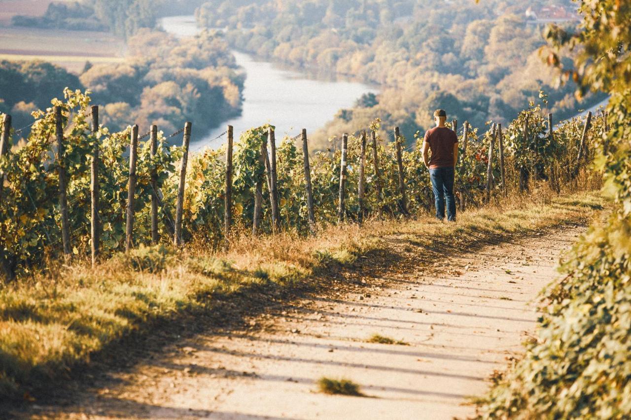 Готель Weingut Pastoriushaus - Artur Steinmann Зоммергаузен Екстер'єр фото